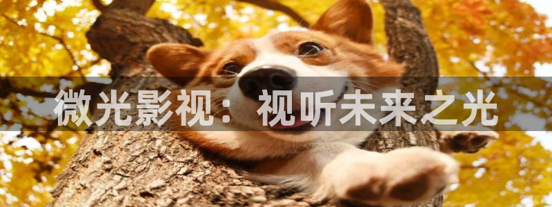 成人韩国影视：微光影视：视听未来之光