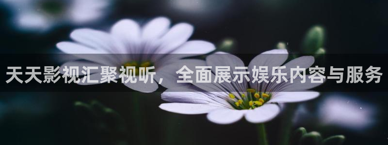 韩国影视推荐：天天影视汇聚视听，全面展示娱乐内容与服务