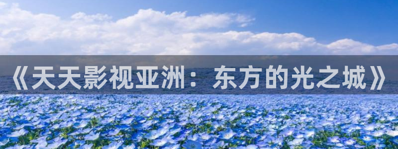 八戒韩国影视：《天天影视亚洲：东方的光之城》
