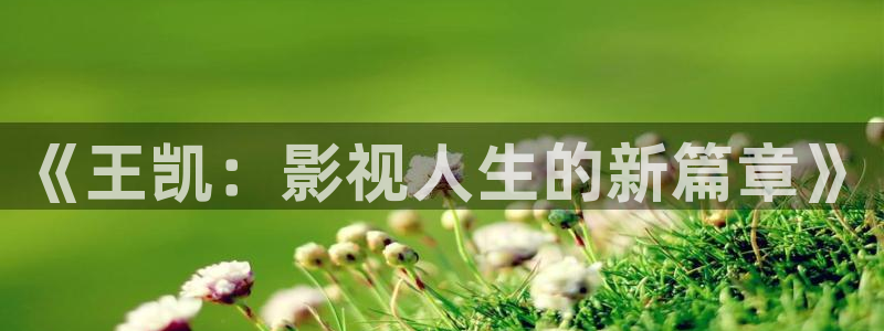 韩国影视推荐：《王凯：影视人生的新篇章》