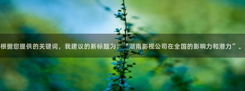 穿梭在韩国影视世界的小说：根据您提供的关键词，我建议的新标题为：“湖南影视公司在全国的影响力和潜力”。